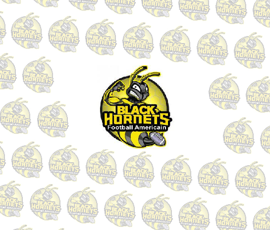 Logo black hornets association à Roanne - Black Hornets à le coteau